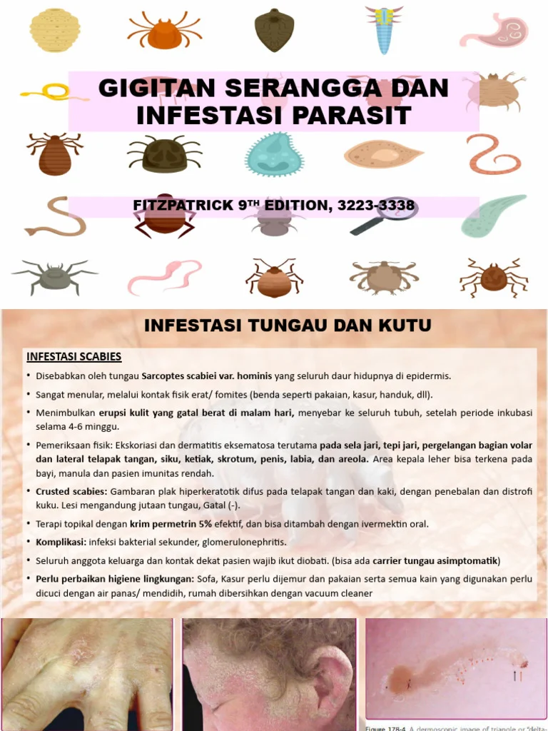 Gigitan Serangga Dan Infestasi Parasit | PDF