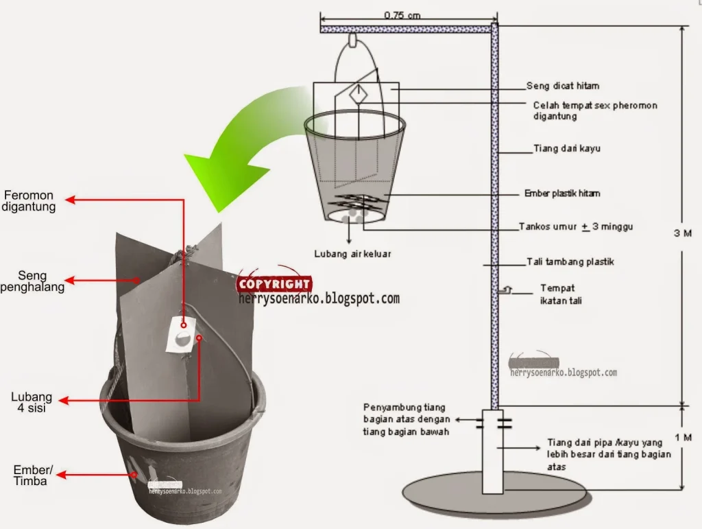 hama penting tanaman utama | JinengPedia