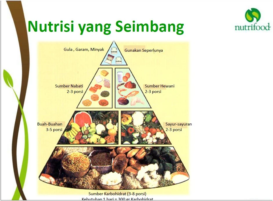 Jenis Nutrisi - Perumperindo.co.id