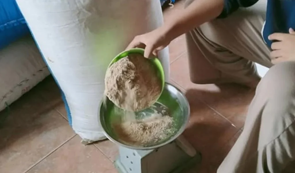 Jenis Pakan Ayam Petelur Agar Cepat Bertelur dan Bagus