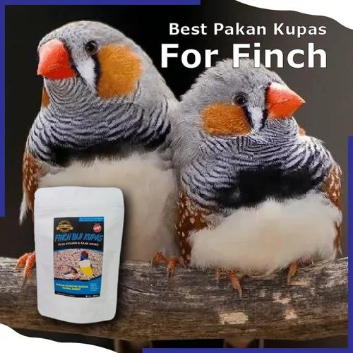 Jual Pakan Burung Finch Tanpa Kulit untuk Burung Zebra,Emprit Jepang