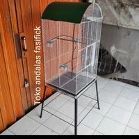 Jual Pancawarna Burung Terlengkap & Terbaik - Harga Murah April 2025