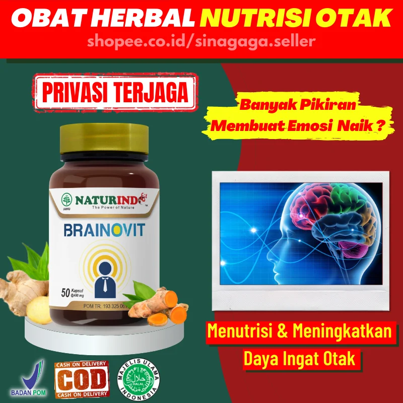 Jual Vitamin Otak Nutrisi Otak Obat Herbal Meningkatkan Daya Ingat Otak