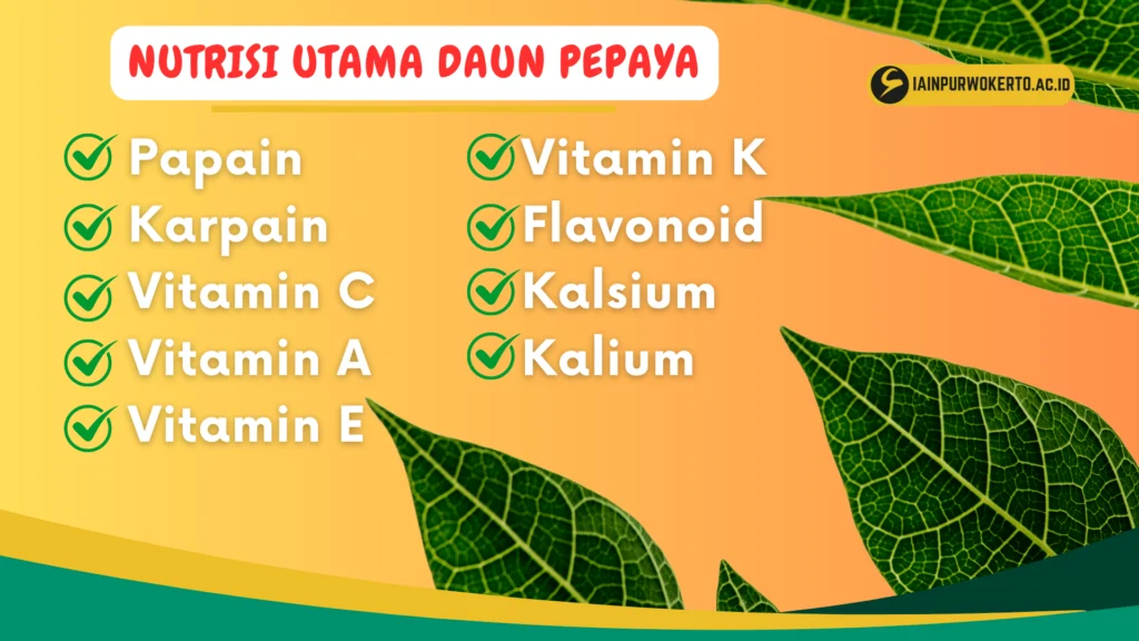 Kenali Manfaat Daun Pepaya sebagai Obat Alami yang Efektif - Birds n Bees