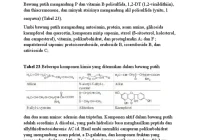 Komposisi Kimia Bawang Putih | PDF | Memasak, Makanan, & Anggur