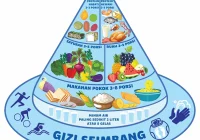 Makan Sehat, Hidup Sehat: Edukasi Pola Makan Seimbang dan Gizi Seimbang