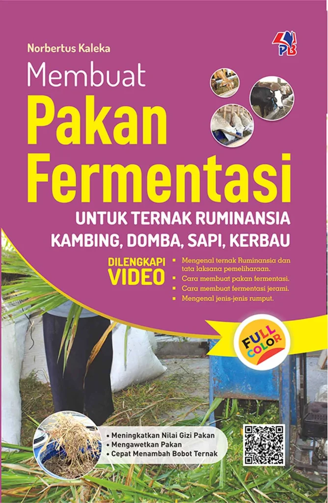 Membuat pakan fermentasi untuk ternak ruminansia kambing, domba, sapi