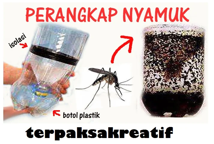 Membuat Perangkap Nyamuk Sederhana di Rumah 100% SEHAT