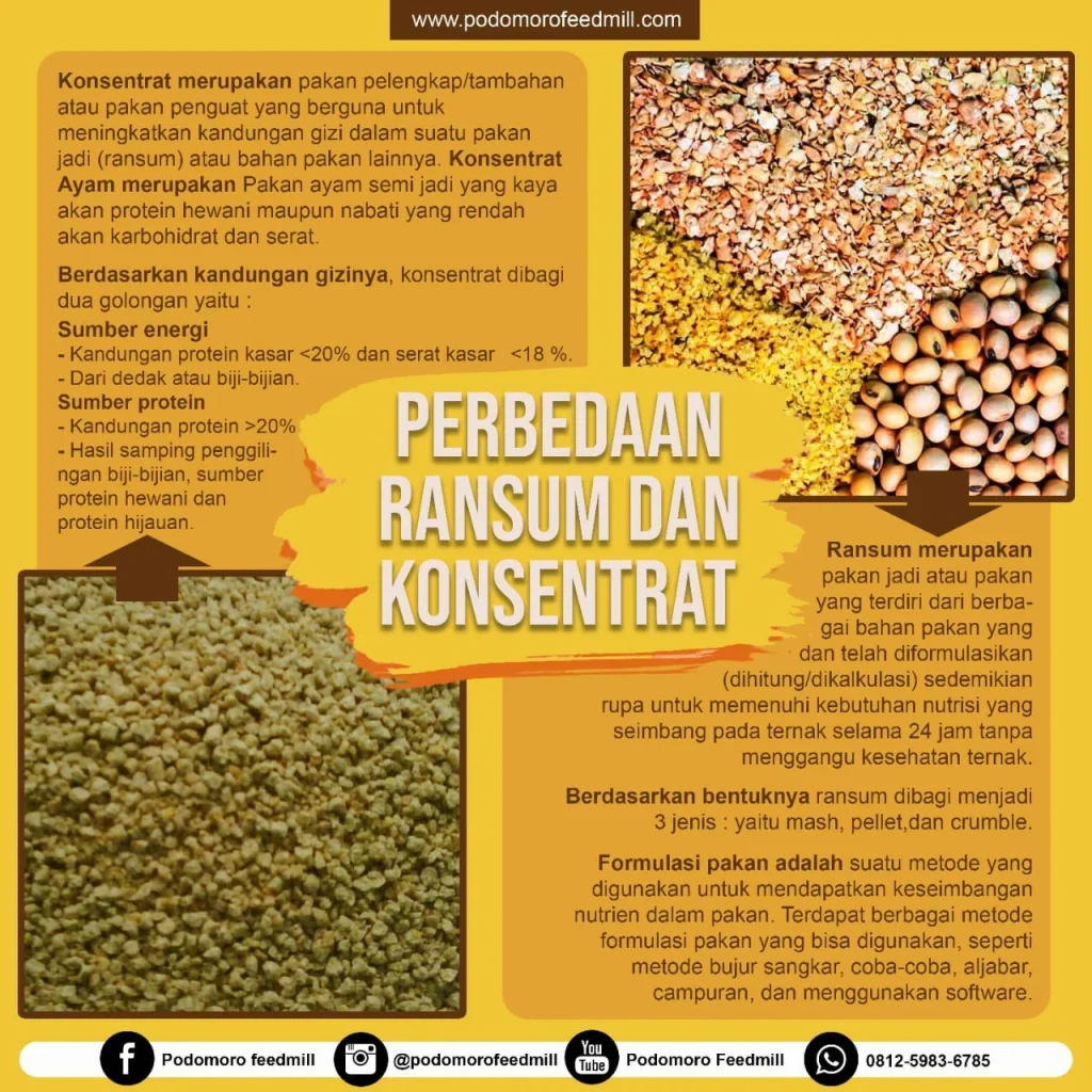 Mengenal Bungkil Kacang Kedelai (BKK), Podomoro Poultry Equipment