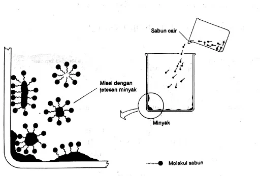 Mengenal Cara Kerja Sabun dan Detergen Secara Kimia