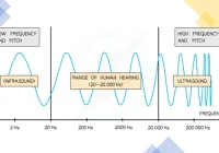 Mengenal Prinsip Kerja Ultrasonik: Teknologi di Balik Gelombang Suara