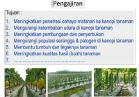 Modifikasi Lingkungan Tumbuh Kembang Tanaman | PPTX