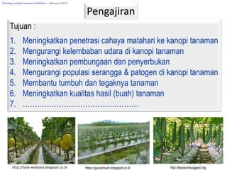 Modifikasi Lingkungan Tumbuh Kembang Tanaman | PPTX