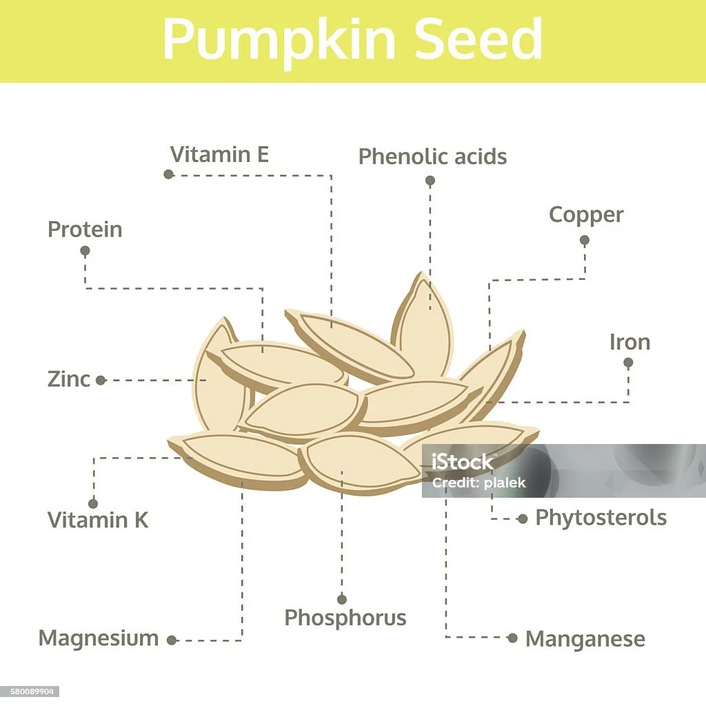 Nutrisi Biji Labu Fakta Dan Manfaat Kesehatan Info Grafis Ilustrasi