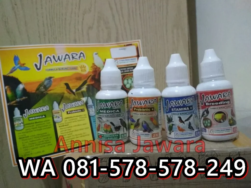 Obat Burung Emprit: Panduan Lengkap untuk Menjaga Kesehatan Burung Anda