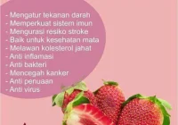 oleh Alan novian di Manfaat buah di 2025 | Makanan sehat mudah