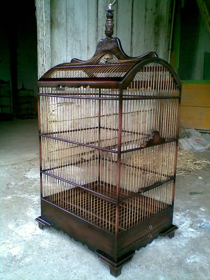oleh I Made di kandang | Sangkar burung, Rumah burung, Sangkar