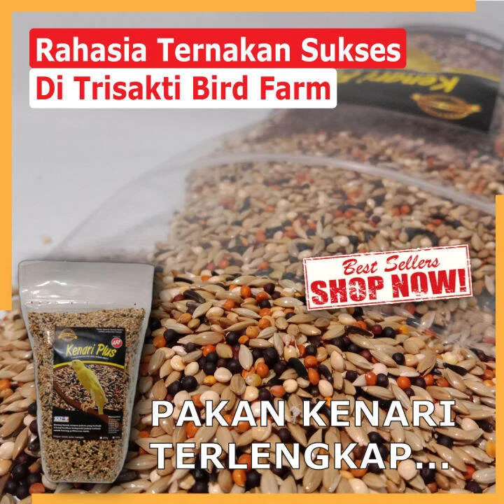 Pakan Burung Kenari Plus Dengan komposisi Biji bijian Yang sangat Pas