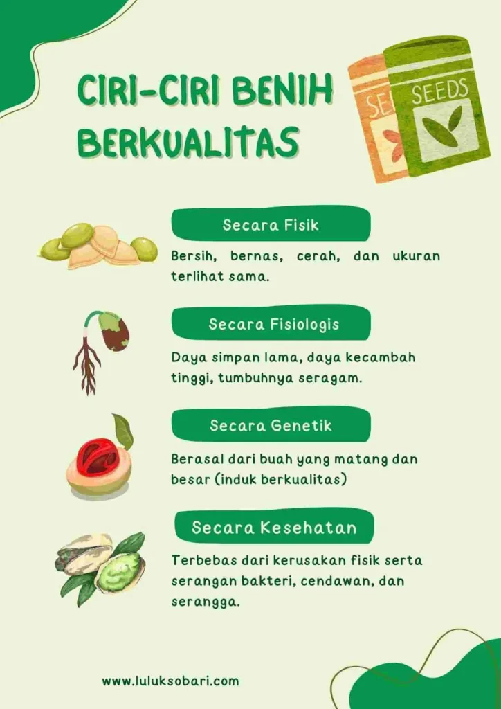 √ Panduan Memilih Benih Sayuran Berkualitas Tinggi: Ada yang Gratis, Loh!