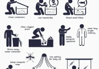 Panduan Pengendalian Nyamuk Sinttesis Pest Control - Sinttesis