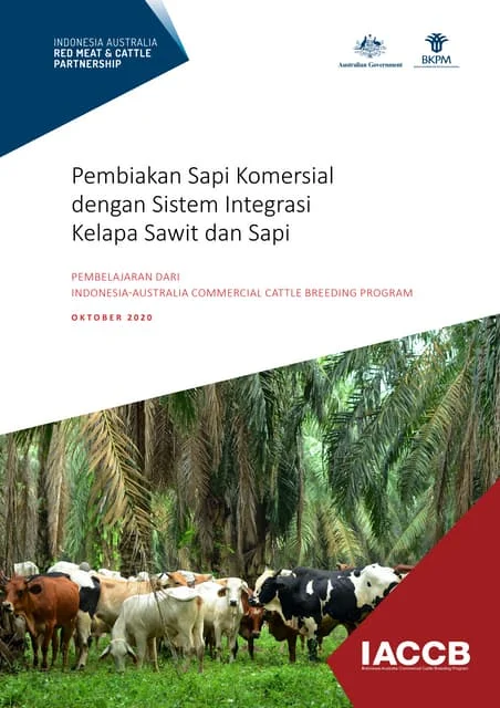 Pembiakan Sapi Komersial dengan Sistem Integrasi Kelapa Sawit dan Sapi