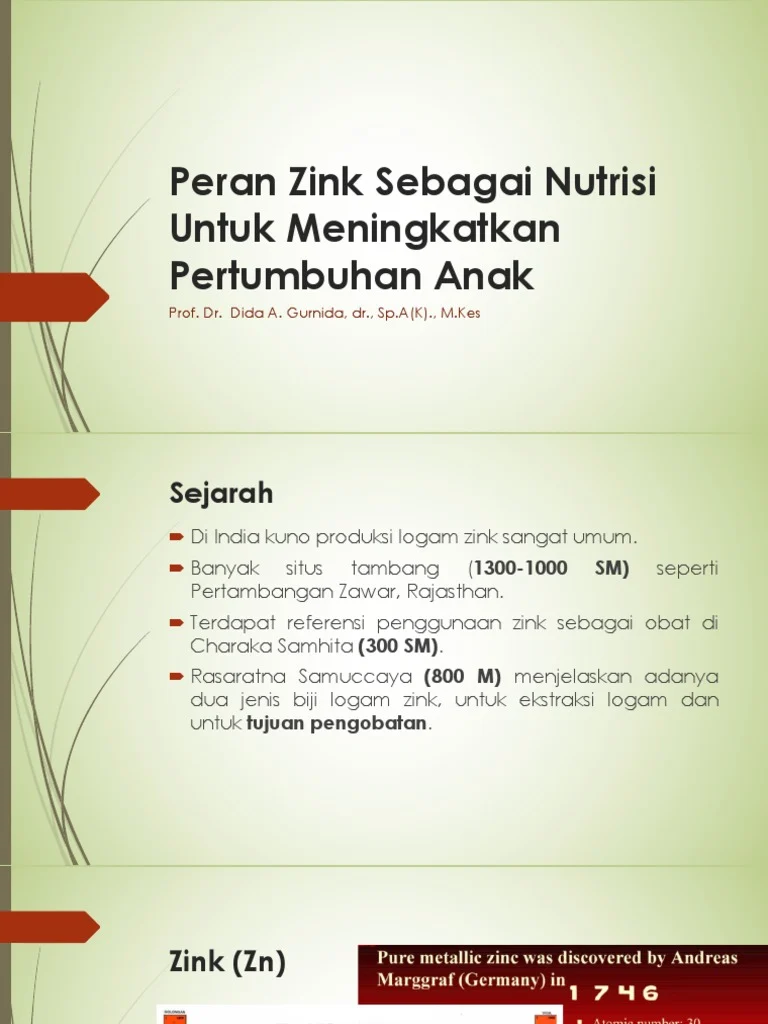 Peran Zinc Sebagai Nutrisi | PDF | Kesehatan Holistik