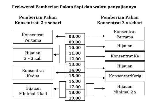 Pola dan Frekwensi Pemberian Pakan dan Air Minum Cara pemberian - Our