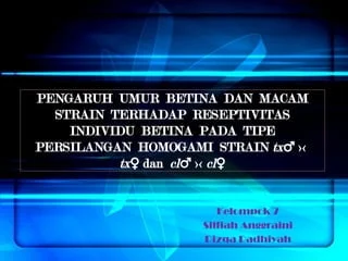 PPT Uji Proyek Genetika pengaruh umur betina dan macam strain.pptx