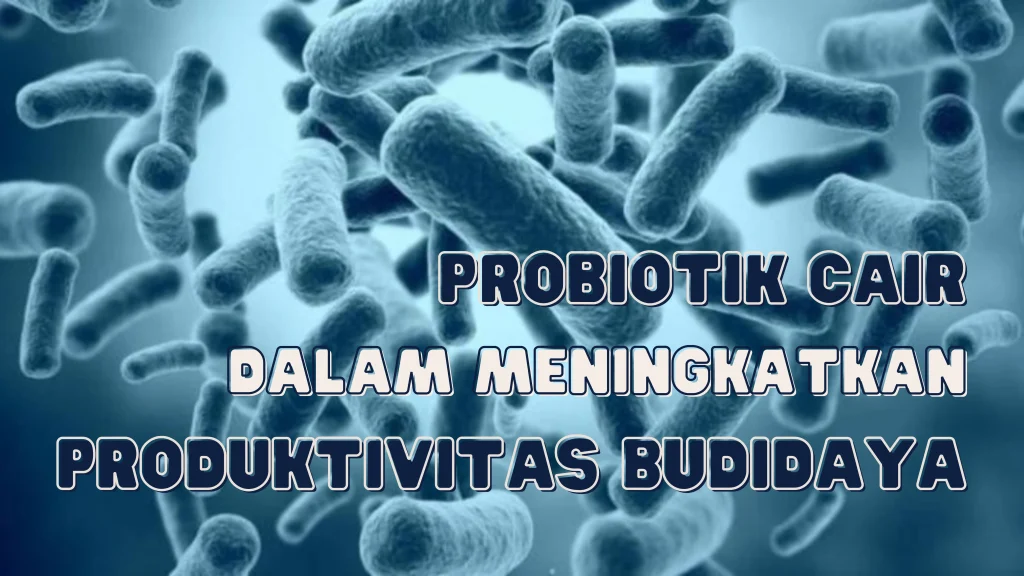 Probiotik Cair dalam Meningkatkan Produksivitas - CV Pradipta Paramita