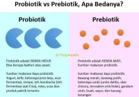 Probiotik dan Prebiotik, Apa Bedanya? | Panganpedia