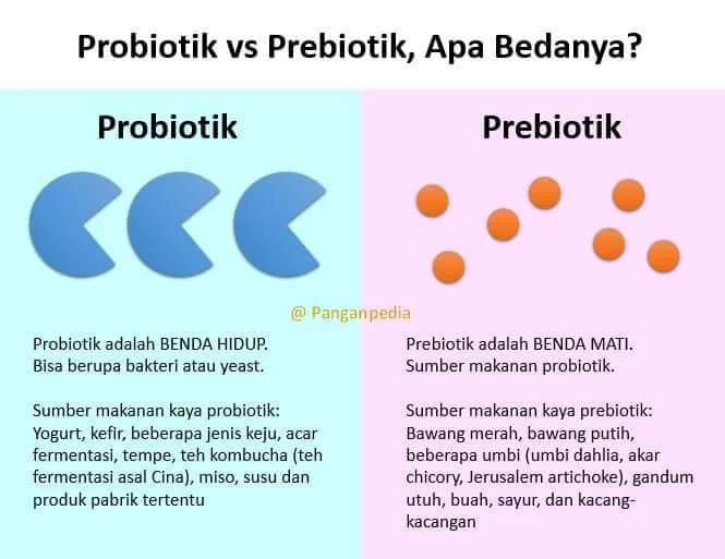 Probiotik dan Prebiotik, Apa Bedanya? | Panganpedia