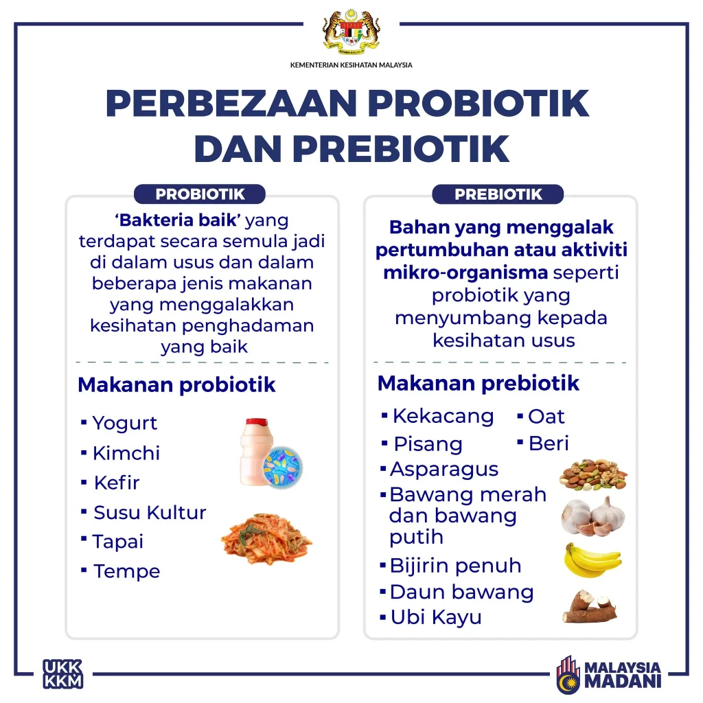 Probiotik Untuk Apa? Manfaat dan Suplemen Kesihatan - eCanvas