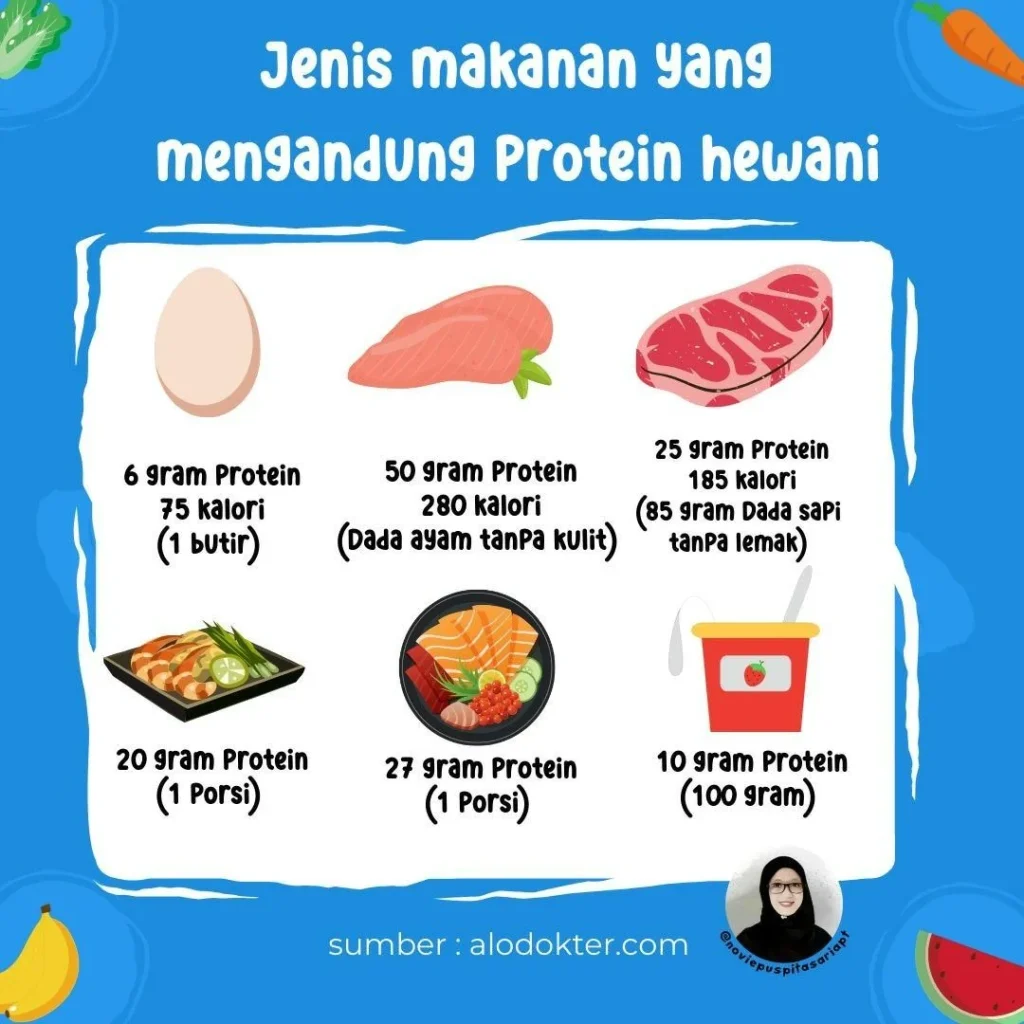 Protein Hewani