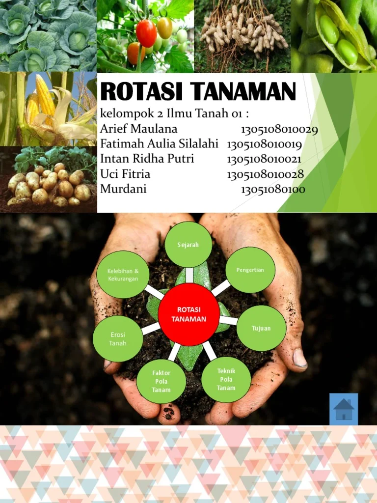 Rotasi Tanaman | PDF | Griya & Taman | Sains & Matematika