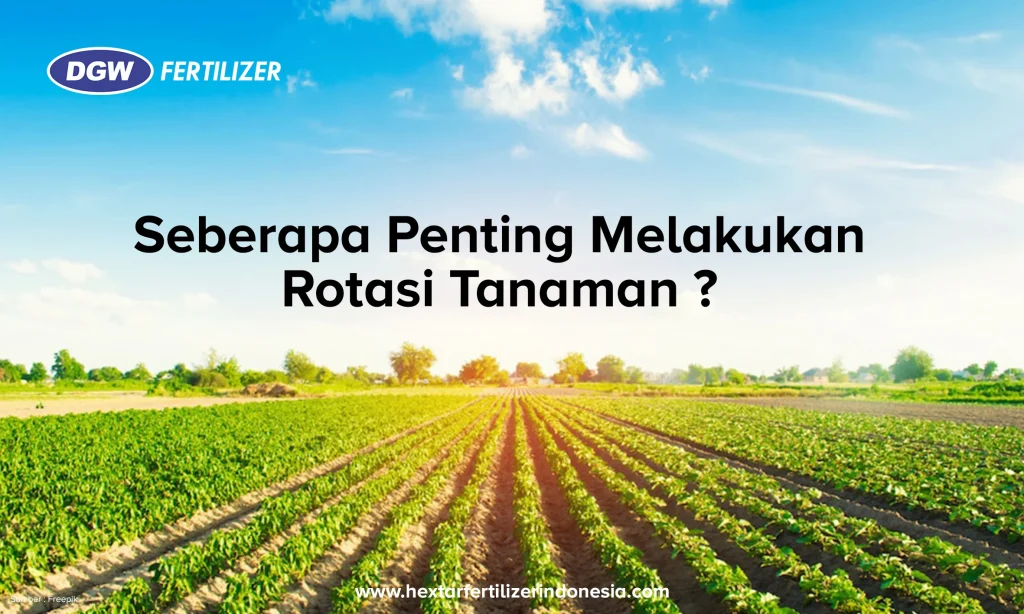 Seberapa Penting Rotasi Tanaman ? - DGW Fertilizer