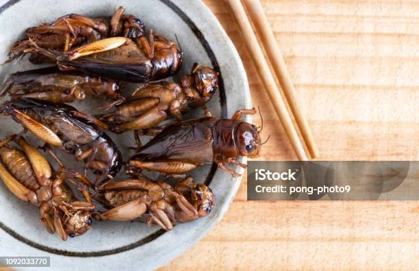 Serangga Dalam Piring Keramik Dengan Sumpit Di Atas Meja Kayu Konsep