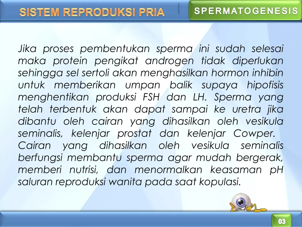 Sistem reproduksi | PPT