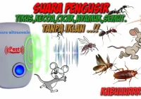 suara pengusir Tikus,kecoa,cicak,nyamuk,dan semut ||suara ultrasonic