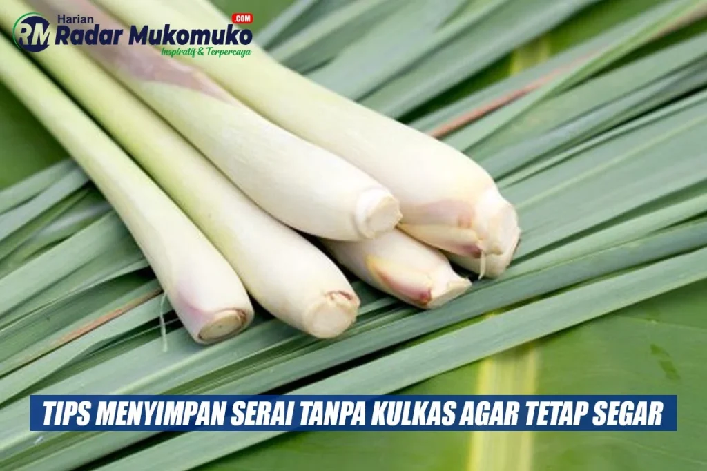 Tips Menyimpan Serai Tanpa Kulkas Agar Tetap Segar dan Tidak Kering