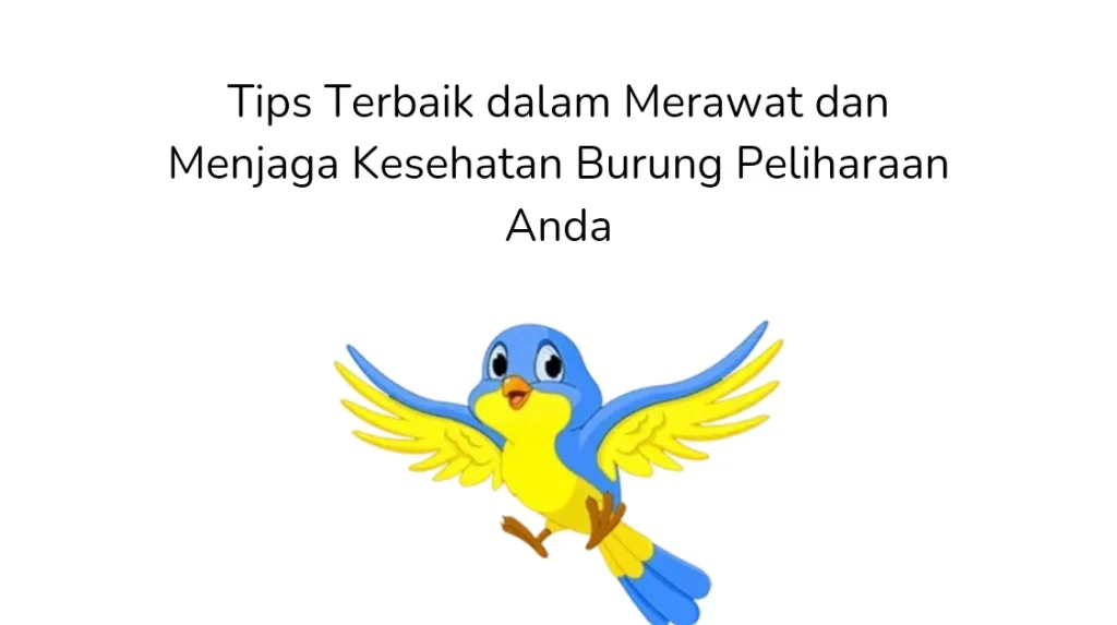 Tips Terbaik dalam Merawat dan Menjaga Kesehatan Burung Peliharaan Anda