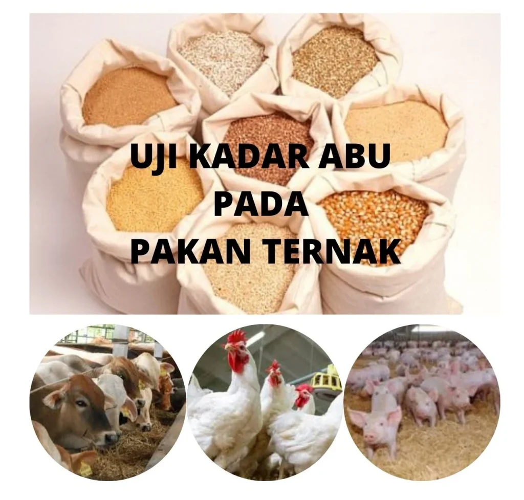 Uji Kadar Abu pada Pakan Ternak