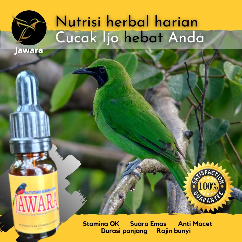 Vitamin Burung Emprit: Pentingnya Asupan Nutrisi untuk Kesehatan dan
