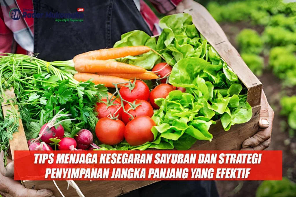 Yuk Simak, Ini Tips Menjaga Kesegaran Sayuran dan Strategi Penyimpanan