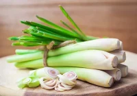 13 Manfaat Daun Sereh, Tak Hanya Bantu Mengusir Nyamuk