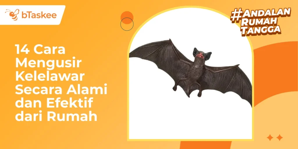14 Cara Mengusir Kelelawar Secara Alami & Efektif dari Rumah – bTaskee