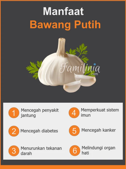 15 Manfaat Bawang Putih Berikut Ini Sangat Tak Terduga Sama Sekali
