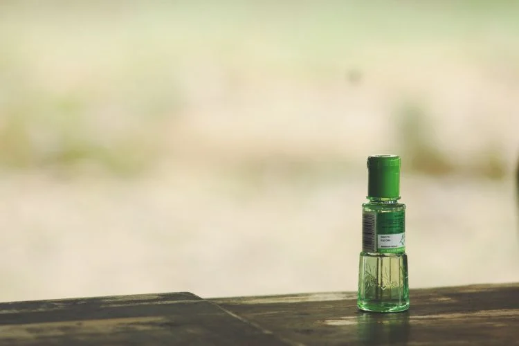 18 Cara Mengusir Dan Membasmi Nyamuk Dengan Mudah Dan Cepat