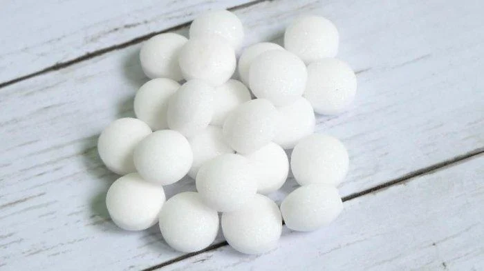 5 Cara Mengusir Kecoa di Dalam Mobil