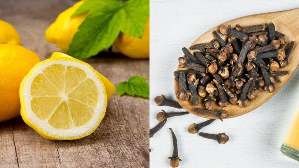 8 Cara Mengatasi Lalat di Rumah, Cukup Pakai Bahan Alami yang Aman