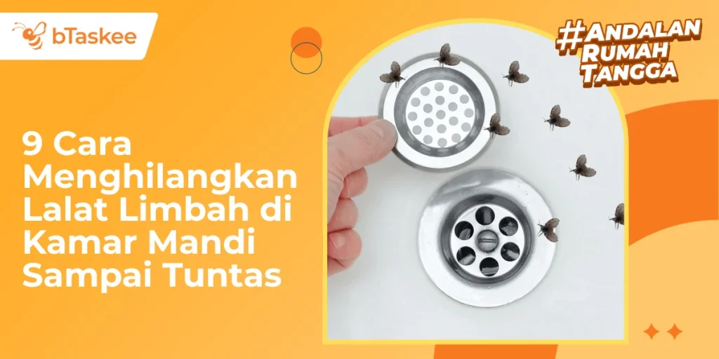 9 Cara Menghilangkan Lalat Limbah di Kamar Mandi Sampai Tuntas